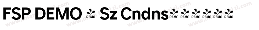FSP DEMO - Sz Cndns字体转换